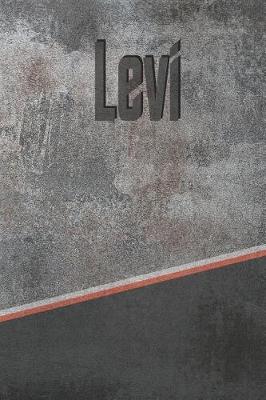 Book cover for Levi