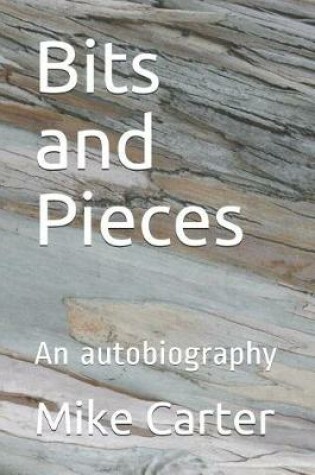 Cover of Bits and Pieces