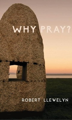 Book cover for Why Pray?