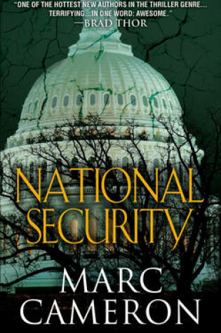 Cover of National Security