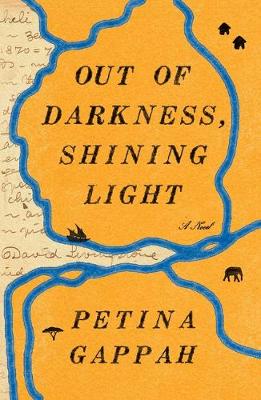 Book cover for Out of Darkness, Shining Light