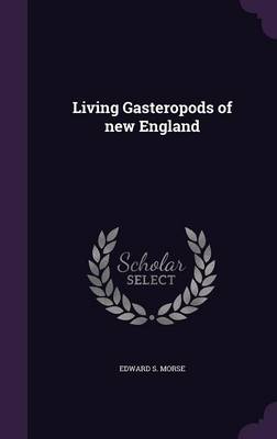 Book cover for Living Gasteropods of New England