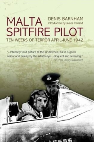 Cover of Malta Spitfire Pilot