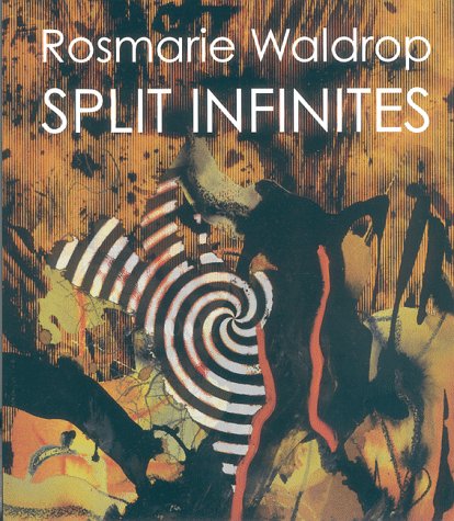 Book cover for Split Infinities