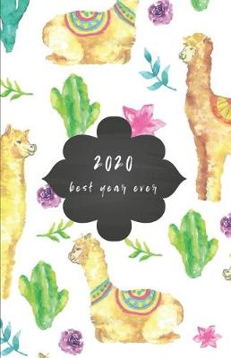 Book cover for 2020 Best Year Ever