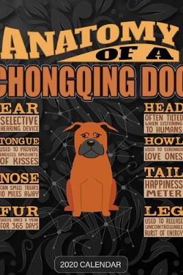Book cover for Anatomy Of A Chongqing Dog
