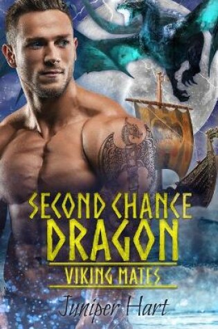 Cover of Second Chance Dragon