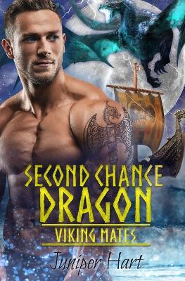 Book cover for Second Chance Dragon