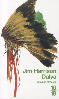 Book cover for Dalva