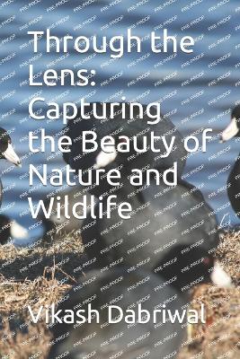 Book cover for Through the Lens