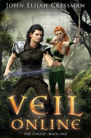 Cover of Veil Online - Book 1 (a LitRPG MMORPG Adventure Series)