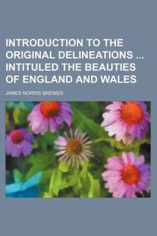 Cover of Introduction to the Original Delineations Intituled the Beauties of England and Wales