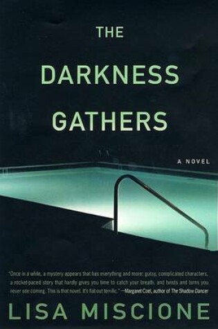 Cover of The Darkness Gathers