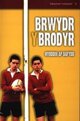 Cover of Mewnwr a Maswr: 1. Brwydr y Brodyr