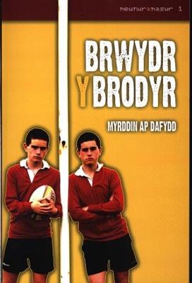 Book cover for Mewnwr a Maswr: 1. Brwydr y Brodyr