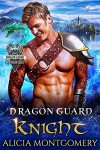 Book cover for Dragon Guard Knight