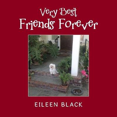 Book cover for Very Best Friends Forever