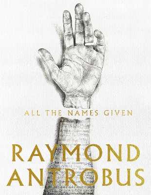 Book cover for All The Names Given