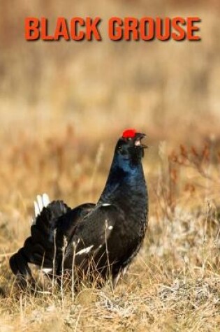 Cover of Black Grouse