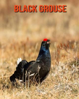 Book cover for Black Grouse