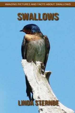 Cover of Swallows