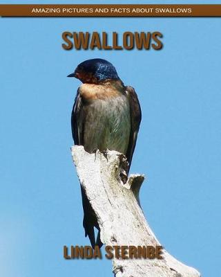 Book cover for Swallows