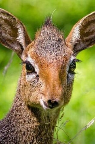 Cover of So Cute Dik Dik Antelope Portrait Africa Journal