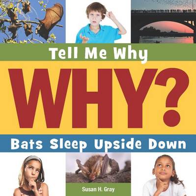 Book cover for Bats Sleep Upside Down