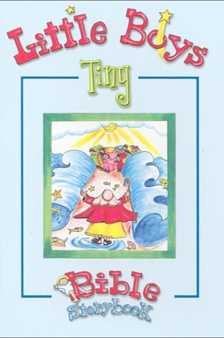 Cover of Little Boys Tiny Bible Storybook