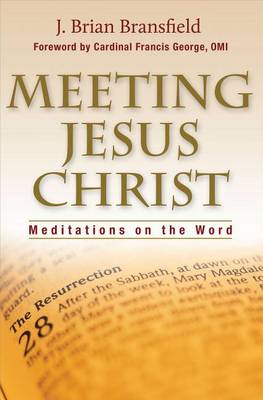 Book cover for Meeting Jesus Christ