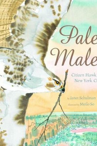 Cover of Pale Male
