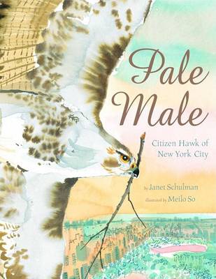 Book cover for Pale Male