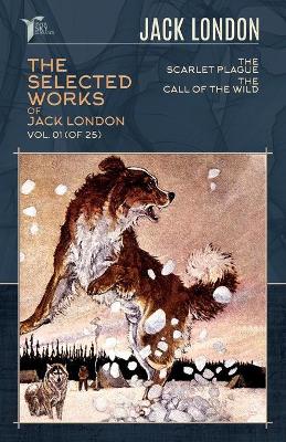 Book cover for The Selected Works of Jack London, Vol. 01 (of 25)