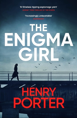 Book cover for The Enigma Girl