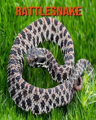 Book cover for Rattlesnake