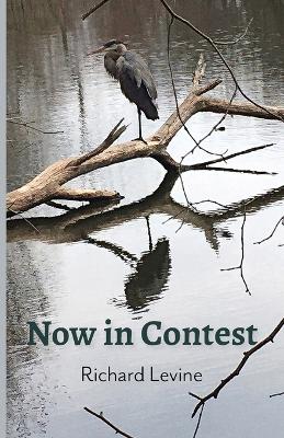 Book cover for Now in Contest
