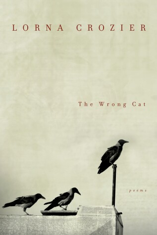 Book cover for The Wrong Cat