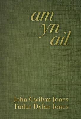 Book cover for Am yn Ail