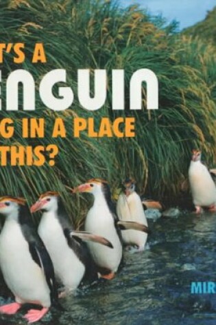 Cover of What's/Penguin Place Like This