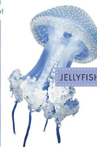 Cover of Jellyfish