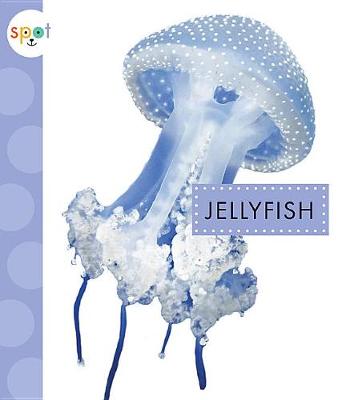 Book cover for Jellyfish