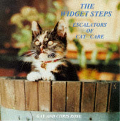 Book cover for The Widget Steps