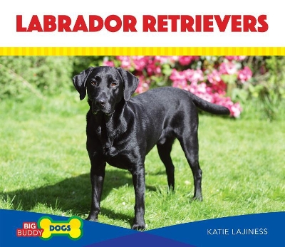 Cover of Labrador Retrievers