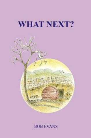 Cover of What Next?