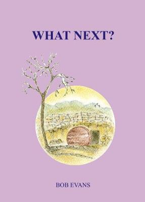 Book cover for What Next?