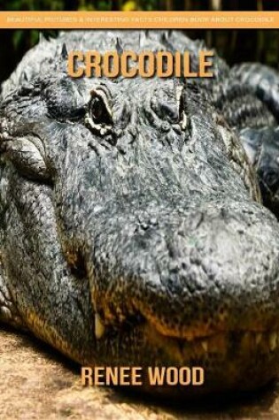 Cover of Crocodile