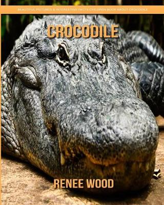 Book cover for Crocodile