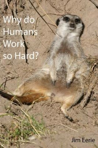 Cover of Why Do Humans Work So Hard?