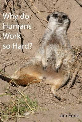 Book cover for Why Do Humans Work So Hard?