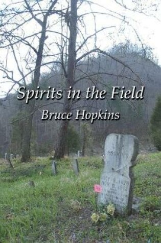 Cover of Spirits in the Field